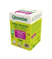 Mini germoir Alfalfa - Radis - Fenouil, lot de 5