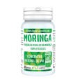 Moringa Foliole Bio LT Labo - 60 gélules