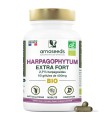 Harpagophytum Bio Amoseeds - 60 gélules