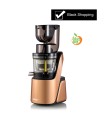 Extracteur de Jus BioChef QUANTUM Whole Slow Juicer - BRONZE