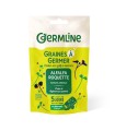 Graines à germer Alfalfa - Roquette (150g)